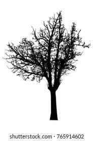 Silhouette of tree with branches,  winter scenery vector