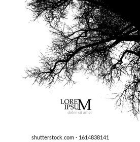 A silhouette of a tree with branches without leaves. Vector illustration