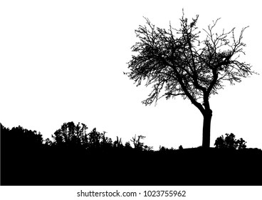 Silhouette of tree, bush with bare branches. Winter scenery trees afar landscape and black space for text, isolated vector