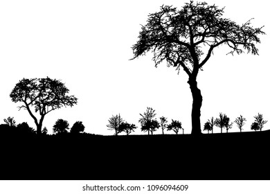 Silhouette of tree, bush with bare branches. Winter scenery trees afar landscape and black space for text, isolated vector