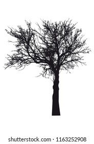 Silhouette of tree, bush with bare branches. Winter scenery trees afar landscape and black space for text, isolated vector