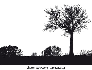 Silhouette of tree, bush with bare branches. Winter scenery trees afar landscape and black space for text, isolated vector