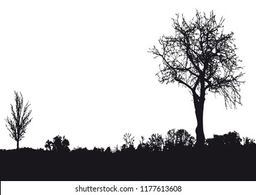 Silhouette of tree, bush with bare branches. Winter scenery trees afar landscape and black space for text, isolated vector
