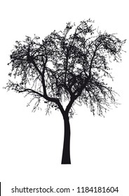 Silhouette of tree, bush with bare branches. Winter scenery trees afar landscape and black space for text, isolated vector