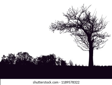 Silhouette of tree, bush with bare branches. Winter scenery trees afar landscape and black space for text, isolated vector