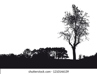 
Silhouette of tree, bush with bare branches. Winter scenery trees afar landscape and black space for text, isolated vector