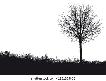 Silhouette of tree, bush with bare branches. Winter scenery trees afar landscape and black space for text, isolated vector