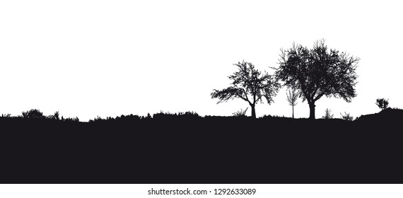 Silhouette of tree, bush with bare branches. Winter scenery trees afar landscape and black space for text, isolated vector