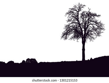 Silhouette of tree, bush with bare branches. Winter scenery trees afar landscape and black space for text, isolated vector