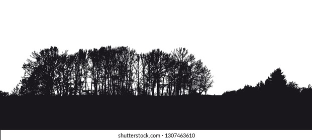 Silhouette of tree, bush with bare branches. Winter scenery trees afar landscape and black space for text, isolated vector