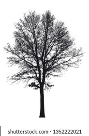 Silhouette von Baum, Busch mit nackten Ästen. Winterlandschaft und schwarzer Textbereich, einzelne Vektorgrafik