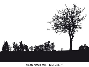 Silhouette of tree, bush with bare branches. Winter scenery trees afar landscape and black space for text, isolated vector