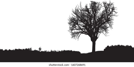 Silhouette of tree, bush with bare branches. Winter scenery trees afar landscape and black space for text, isolated 