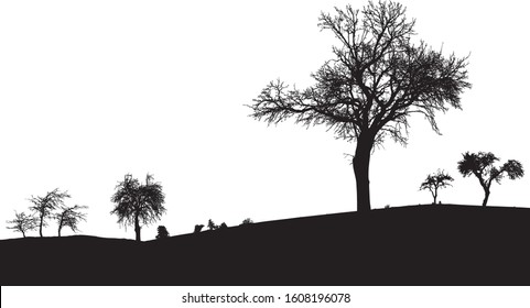 Silhouette of tree, bush with bare branches. Winter scenery trees afar landscape and black space for text, isolated 