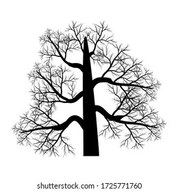 Silhouette of tree, bush with bare branches. Winter scenery trees from a far landscape and black space for text illustration