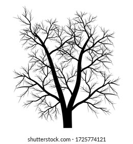 Silhouette of tree, bush with bare branches. Winter scenery trees from a far landscape and black space for text illustration