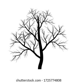 Silhouette of tree, bush with bare branches. Winter scenery trees from a far landscape and black space for text illustration