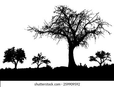 Silhouette of tree - bush - with bare branches - winter scenery - trees afar- landscape and black space for text - isolated - vector