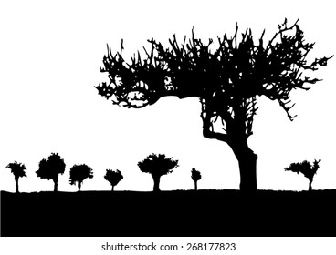 Silhouette of tree - bush - with bare branches - winter scenery - trees afar - landscape and black space for text - isolated - vector