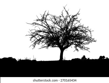 Silhouette of tree - bush - with bare branches - winter scenery - trees afar- landscape and black space for text - isolated - vector