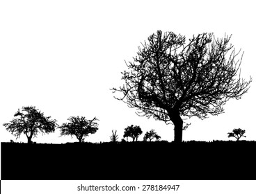 Silhouette of tree, bush with bare branches. Winter scenery trees afar landscape and black space for text, isolated vector