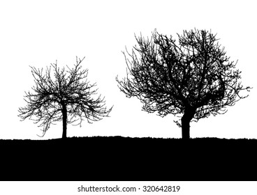 Silhouette of tree, bush with bare branches. Winter scenery trees afar landscape and black space for text, isolated vector
