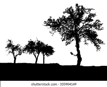 Silhouette of tree, bush with bare branches. Winter scenery trees afar landscape and black space for text - vector