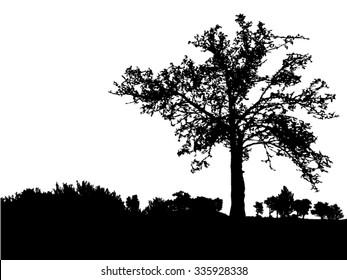 Silhouette Of Tree, Bush With Bare Branches. Winter Scenery Trees Afar Landscape And Black Space For Text, Isolated Vector