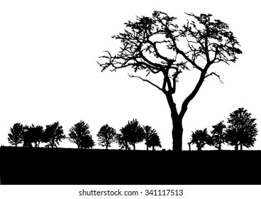 Silhouette of tree, bush with bare branches. Winter scenery trees afar landscape and black space for text, isolated vector