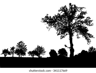 Silhouette of tree, bush with bare branches. Winter scenery trees afar landscape and black space for text, isolated vector