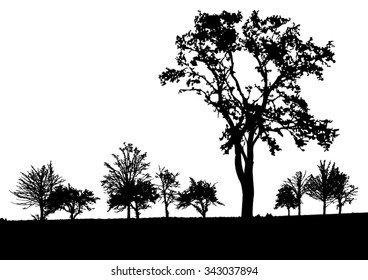 Silhouette of tree, bush with bare branches. Winter scenery trees afar landscape and black space for text, isolated vector