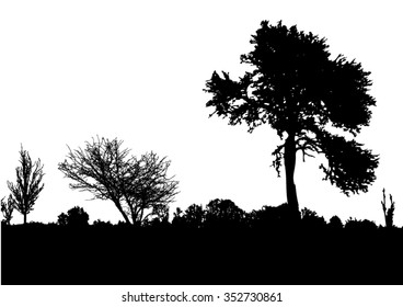 Silhouette of tree, bush with bare branches. Winter scenery trees afar landscape and black space for text, isolated vector