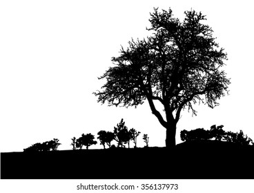 Silhouette of tree, bush with bare branches. Winter scenery trees afar landscape and black space for text vector