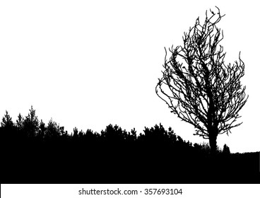 Silhouette Of Tree, Bush With Bare Branches. Winter Scenery Trees Afar Landscape And Black Space For Text, Isolated Vector