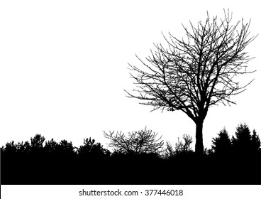 Silhouette Of Tree, Bush With Bare Branches. Winter Scenery Trees Afar Landscape And Black Space For Text, Isolated Vector