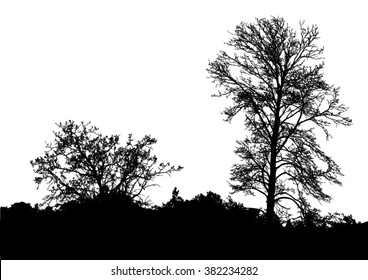 Silhouette of tree, bush with bare branches. Winter scenery trees afar landscape and black space for text, isolated vector