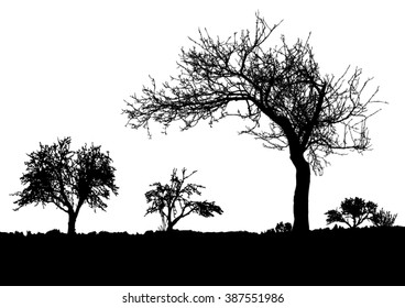 Silhouette of tree, bush with bare branches. Winter scenery trees from a far landscape and black space for text vector
