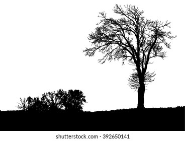 Silhouette of tree, bush with bare branches. Winter scenery trees from a far landscape and black space for text vector