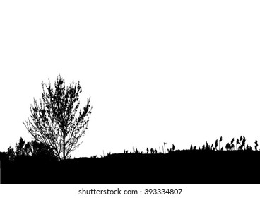 Silhouette of tree, bush with bare branches. Winter scenery trees from a far landscape and black space for text vector