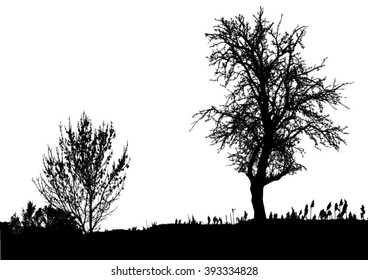Silhouette of tree, bush with bare branches. Winter scenery trees from a far landscape and black space for text vector