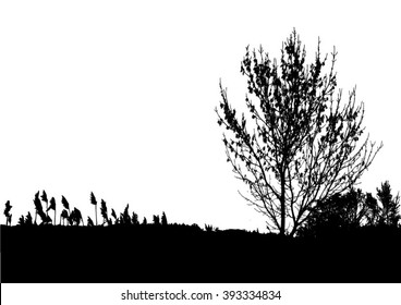 Silhouette of tree, bush with bare branches. Winter scenery trees from a far landscape and black space for text vector