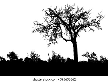 Silhouette Of Tree, Bush With Bare Branches. Winter Scenery Trees Afar Landscape And Black Space For Text, Isolated Vector