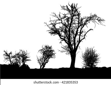 Silhouette of tree, bush with bare branches. Winter scenery trees afar landscape and black space for text, isolated vector