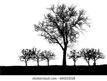 Silhouette of tree, bush with bare branches. Winter scenery trees from a far landscape and black space for text vector