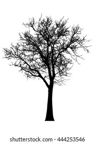 Silhouette of tree, bush with bare branches. Winter scenery trees from a far landscape and black space for text vector
