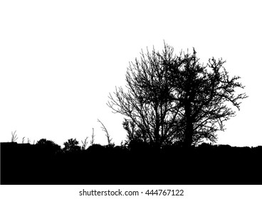 Silhouette of tree, bush with bare branches. Winter scenery trees from a far landscape and black space for text vector