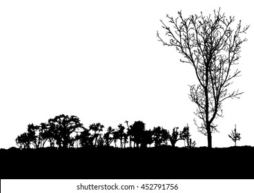 Silhouette of tree, bush with bare branches. Winter scenery trees from a far landscape and black space for text vector
