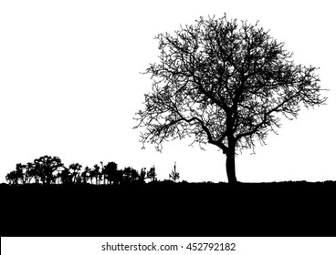 Silhouette of tree, bush with bare branches. Winter scenery trees from a far landscape and black space for text vector
