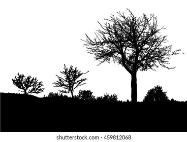 Silhouette of tree, bush with bare branches. Winter scenery trees from a far landscape and black space for text vector