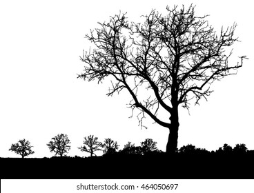 Silhouette of tree, bush with bare branches. Winter scenery trees from a far landscape and black space for text vector